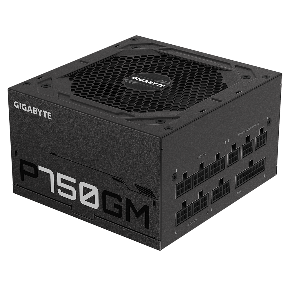 GIGABYTE GP-P750GM 750W ATX 12V v2.31 80 PLUS Gold certified Power Supply