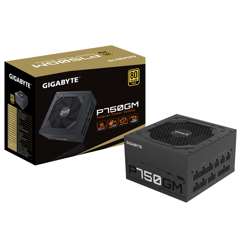 GIGABYTE GP-P750GM 750W ATX 12V v2.31 80 PLUS Gold certified Power Supply